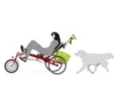 ligfiets driewieler
