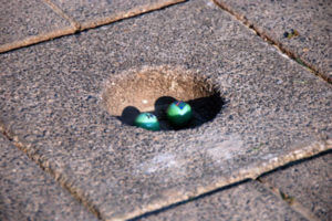 weerhandig-knikkeren-boodschap